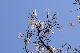 image0258