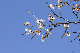 image0259