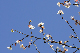 image0260