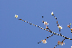 image0261