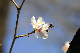 image0262