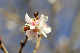 image0263