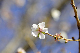 image0264