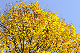 image0266