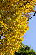 image0267