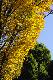 image0268