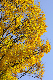 image0269