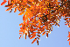 image0271