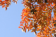 image0272