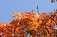 image0273