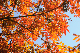 image0274