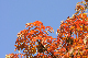 image0276