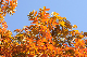 image0277