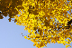 image0279