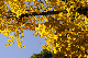 image0280