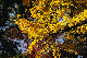image0281