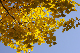 image0282