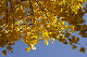 image0283