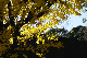 image0285