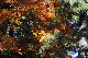 image0287