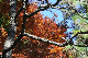 image0288