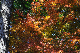 image0289