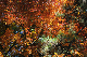 image0290