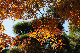 image0291