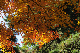 image0292