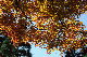 image0293