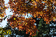 image0294