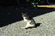 image0296