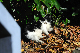 image0297