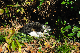 image0298