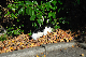 image0299