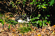 image0300