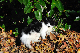 image0301