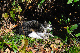 image0305