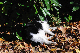 image0306