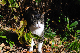 image0307