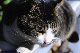 image0308