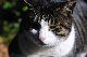 image0309