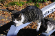 image0310