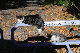 image0313