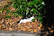 image0315