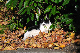 image0317