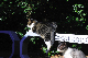 image0318