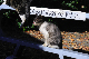 image0319