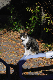 image0320