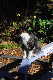 image0321